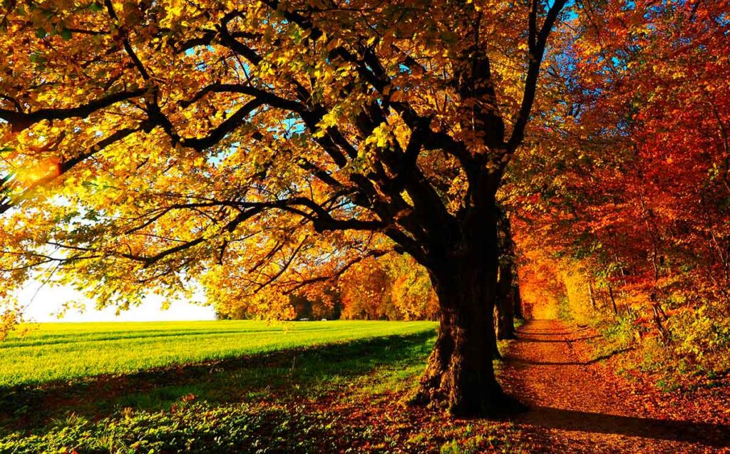 El otoño como estación ideal para hacer una escapada a la Sierra del Segura